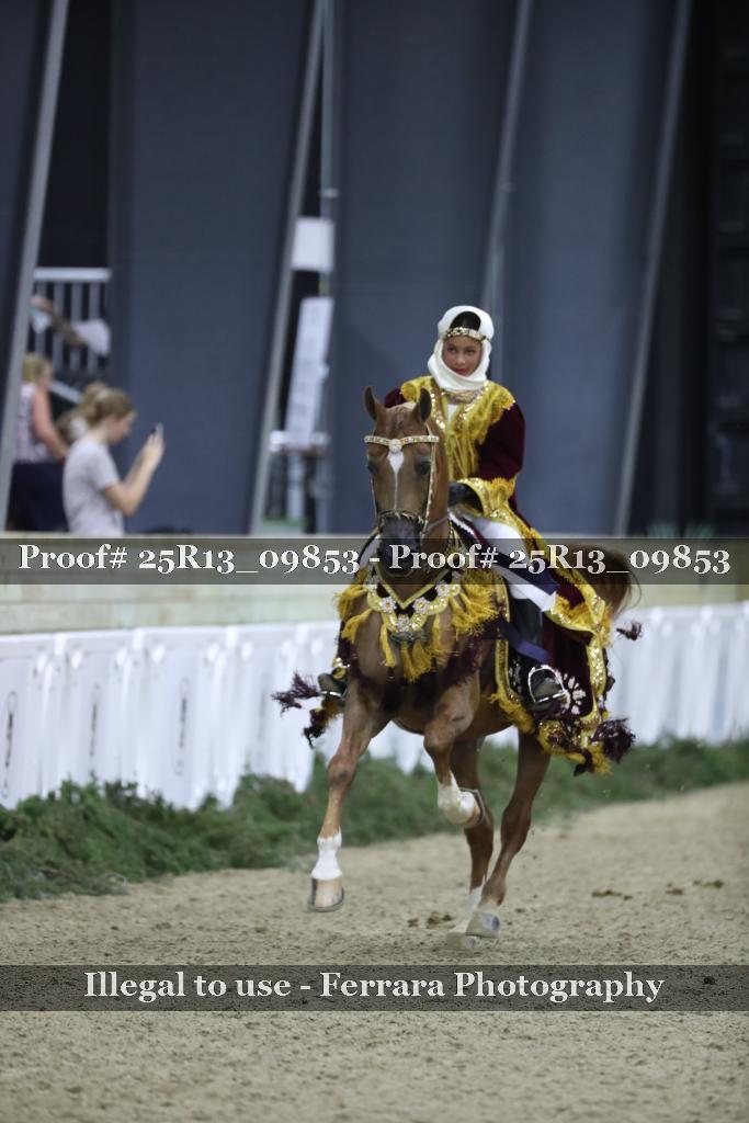 Proof 25R13_09853