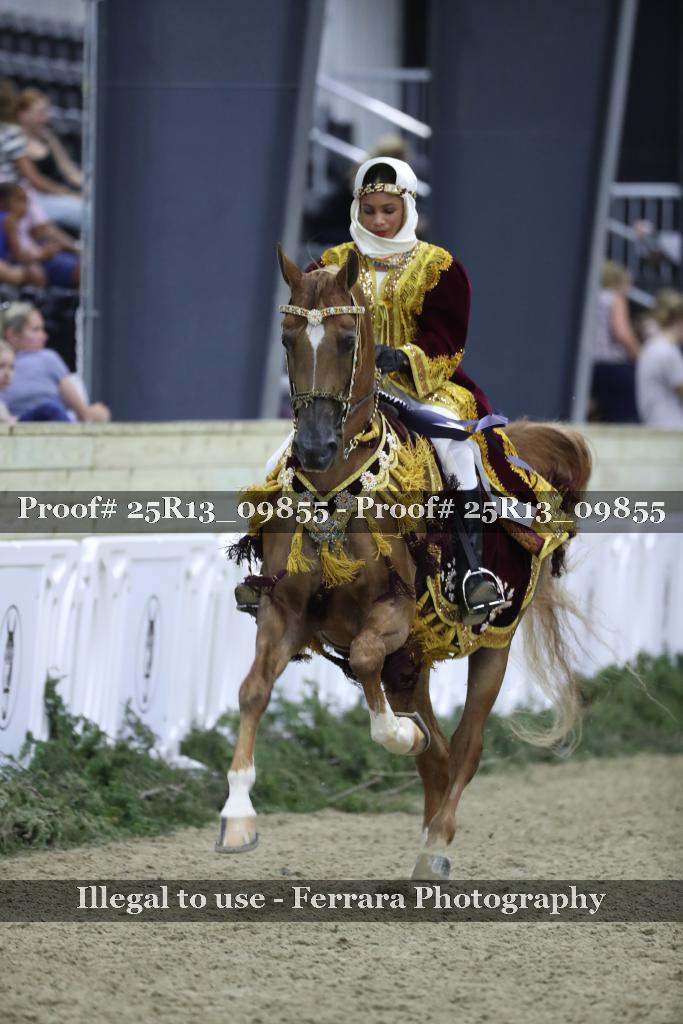 Proof 25R13_09855