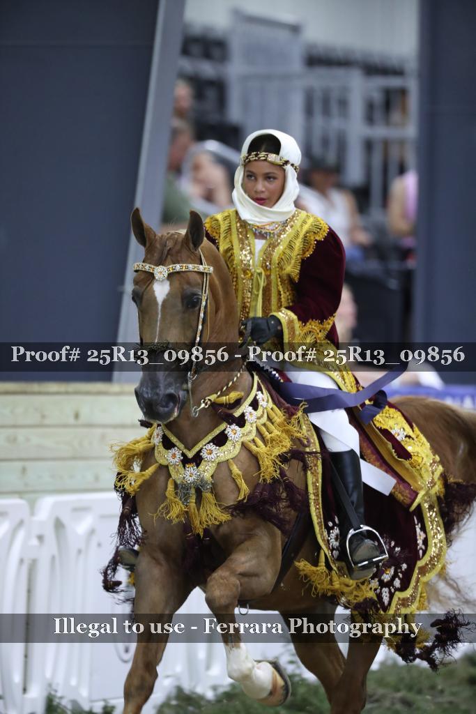 Proof 25R13_09856