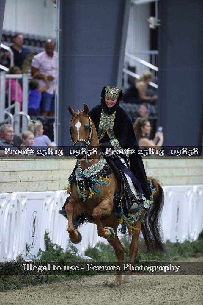 Proof 25R13_09858