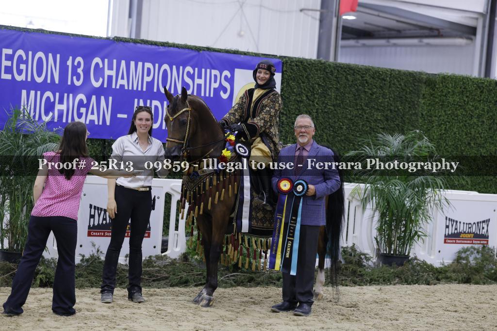 Proof 25R13_09859