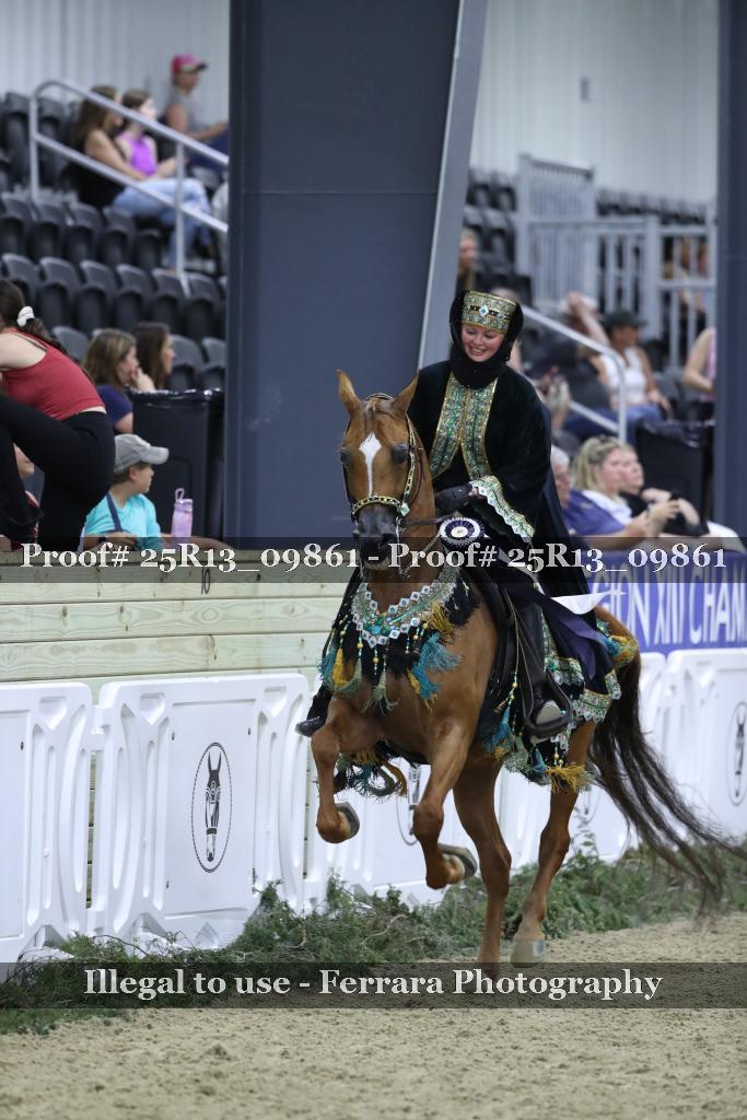 Proof 25R13_09861