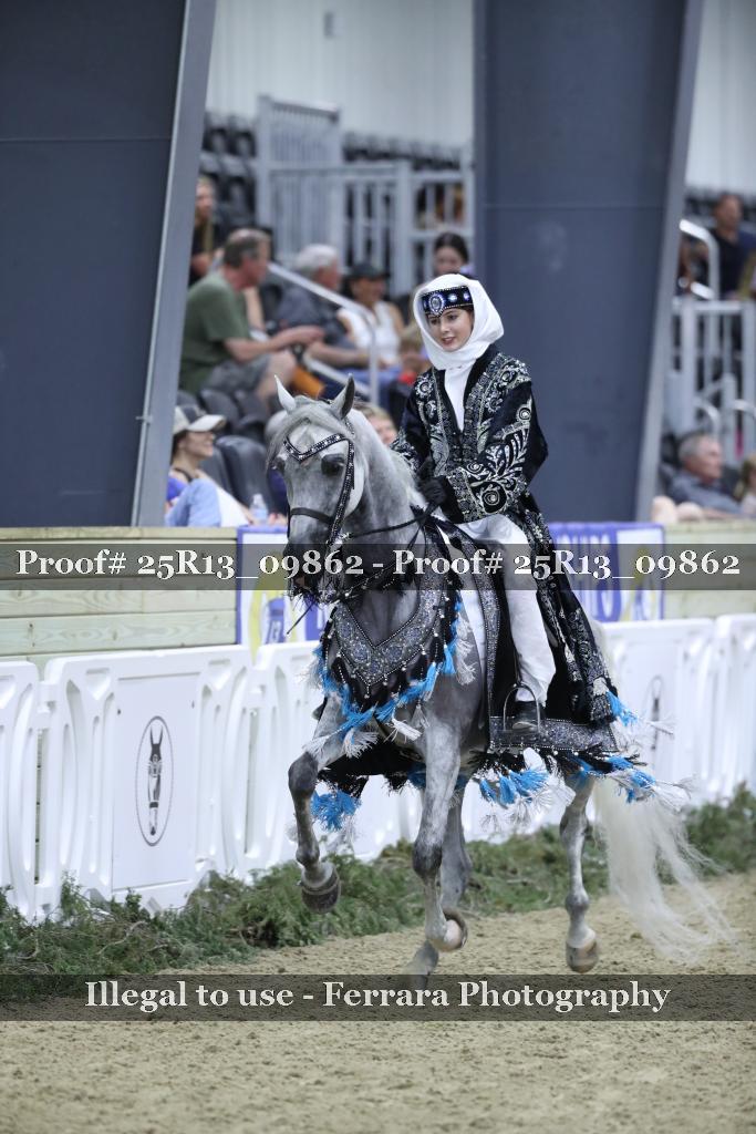 Proof 25R13_09862