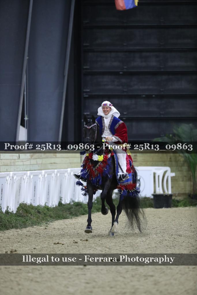 Proof 25R13_09863