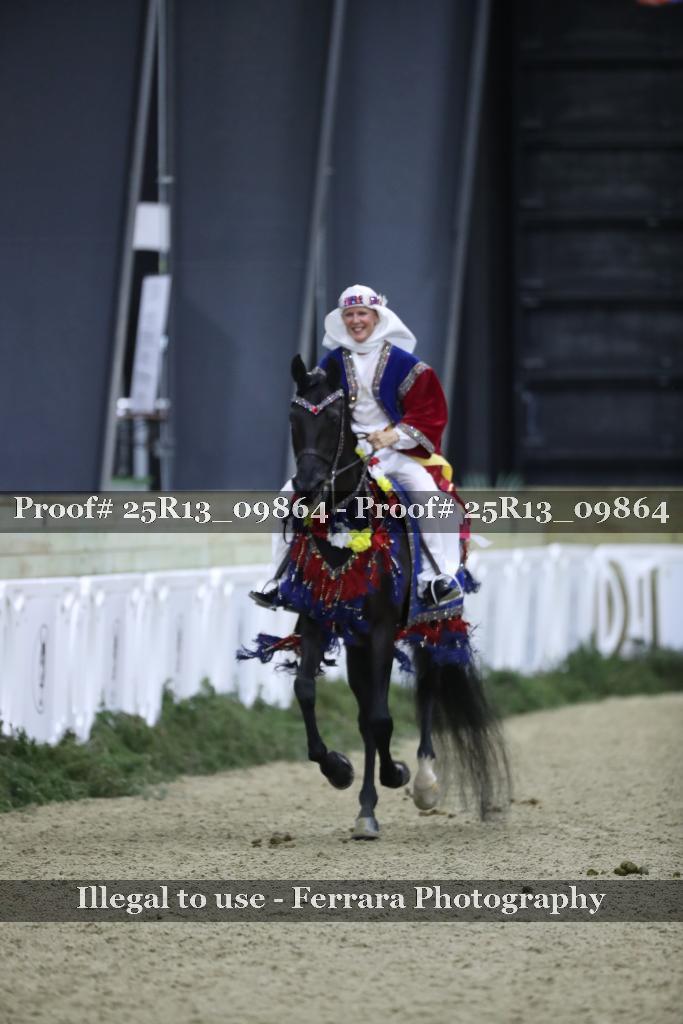 Proof 25R13_09864