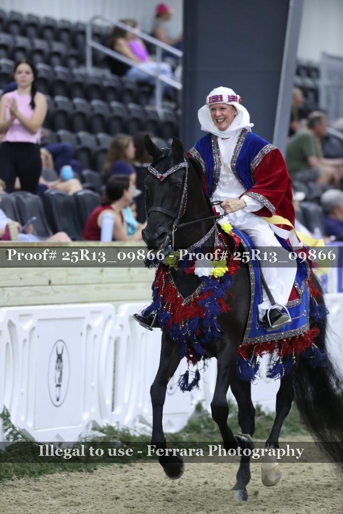 Proof 25R13_09866