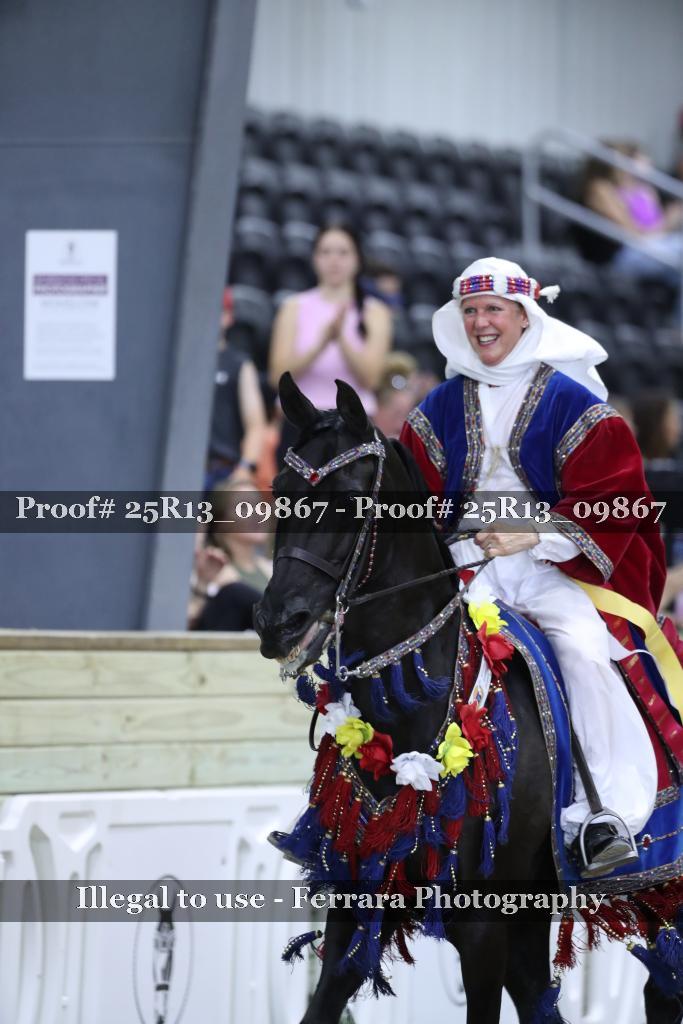 Proof 25R13_09867