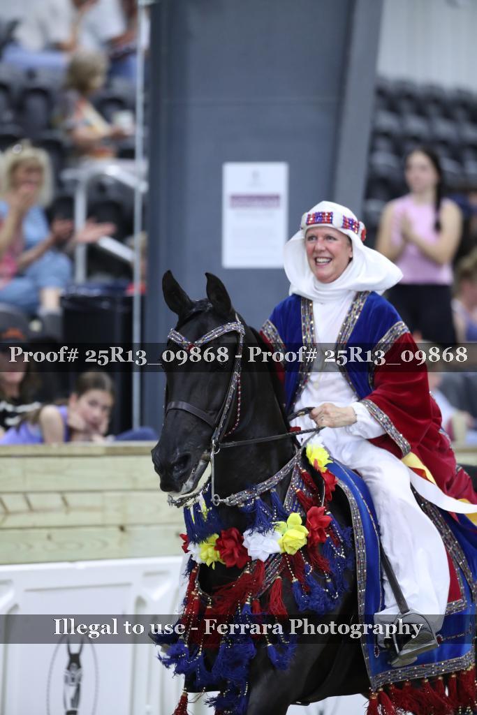 Proof 25R13_09868