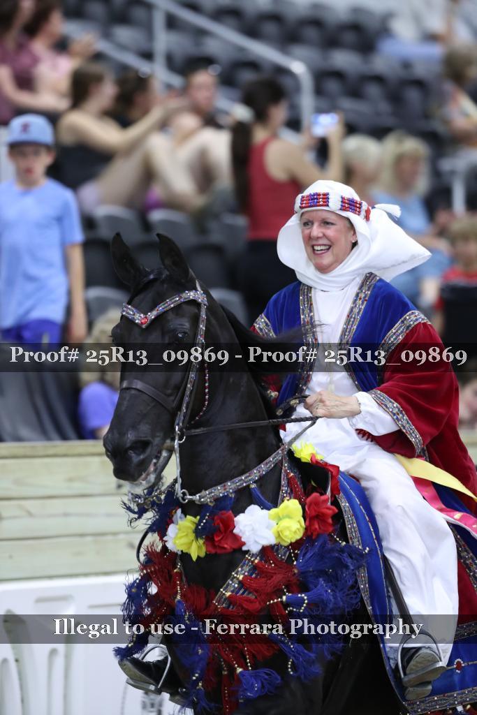 Proof 25R13_09869