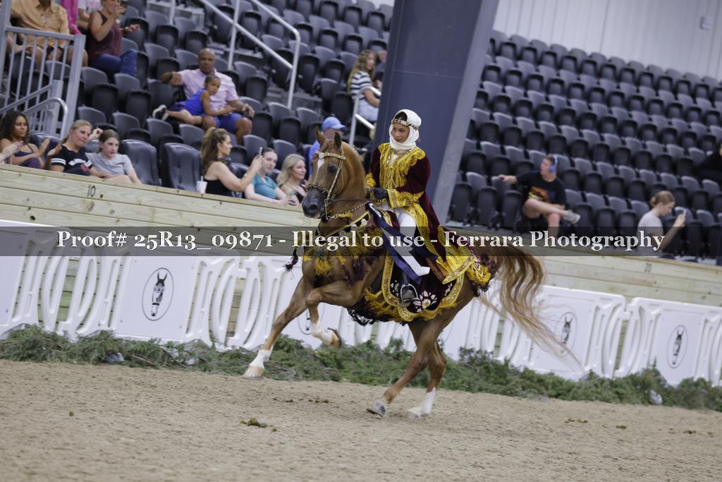 Proof 25R13_09871