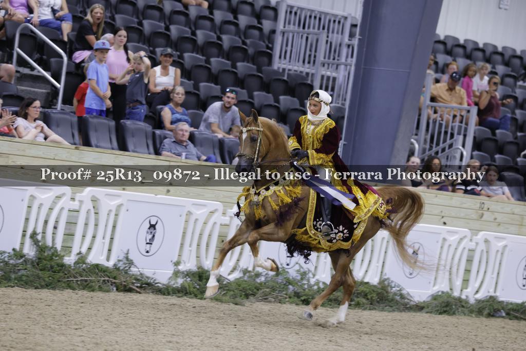 Proof 25R13_09872
