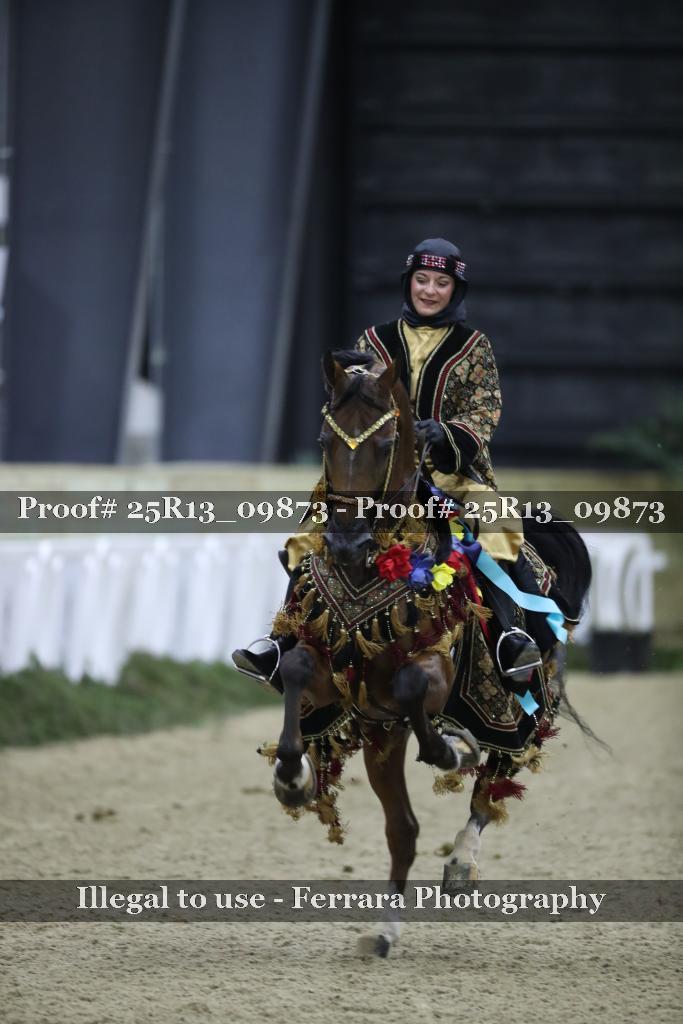 Proof 25R13_09873