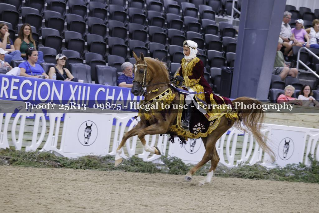 Proof 25R13_09875