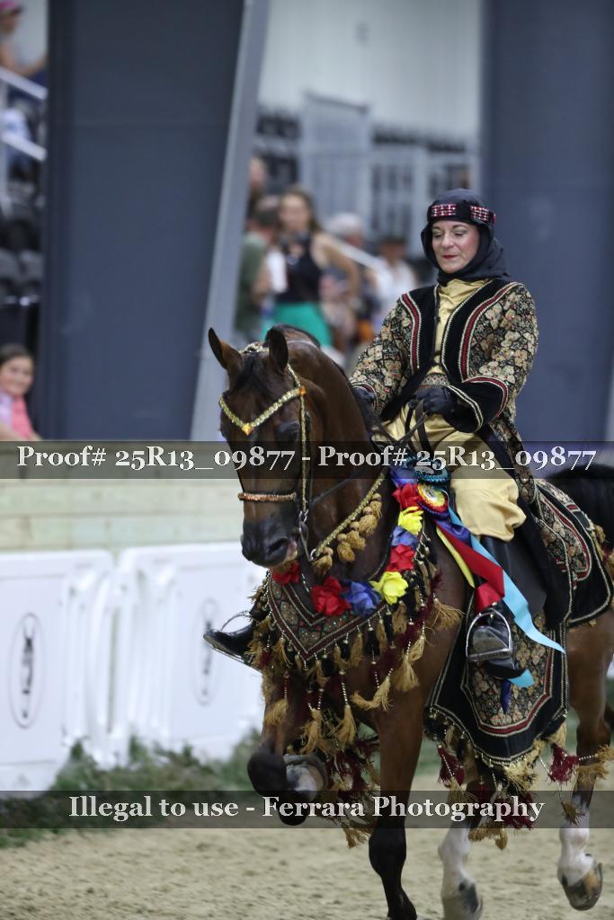 Proof 25R13_09877
