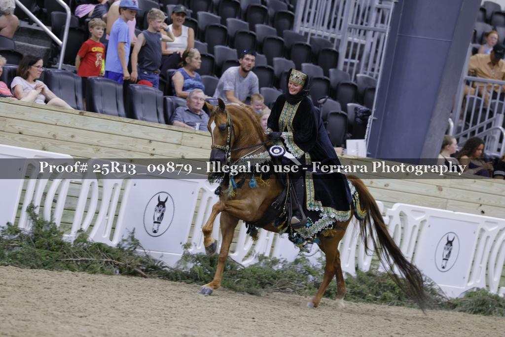 Proof 25R13_09879