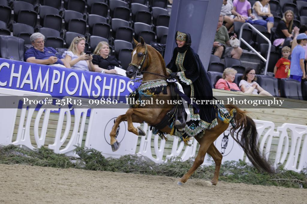 Proof 25R13_09880