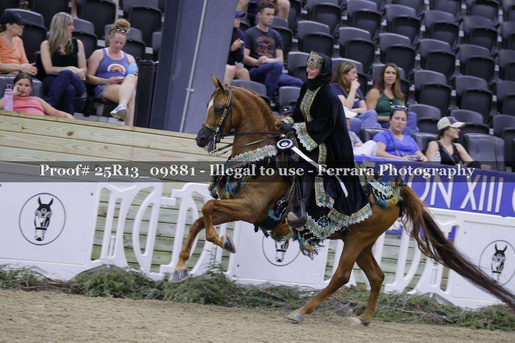 Proof 25R13_09881