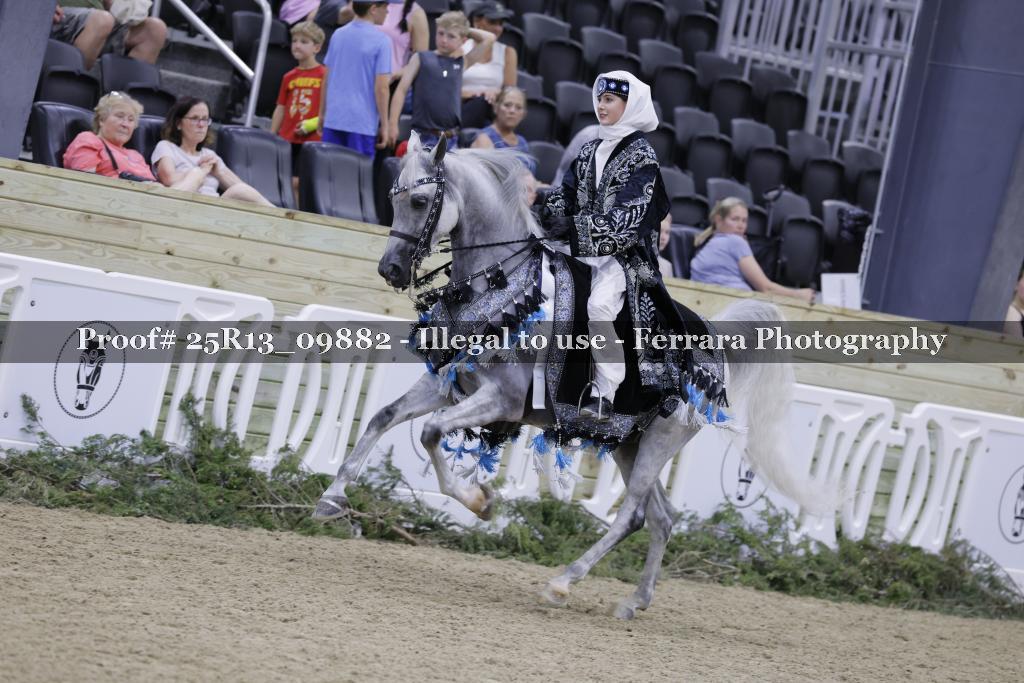 Proof 25R13_09882