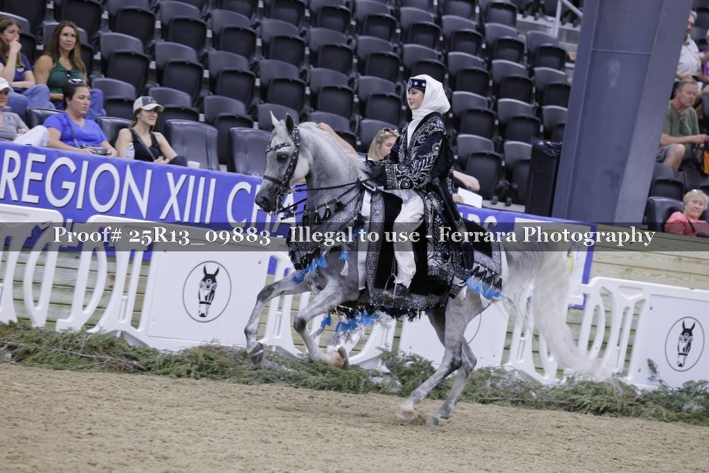 Proof 25R13_09883