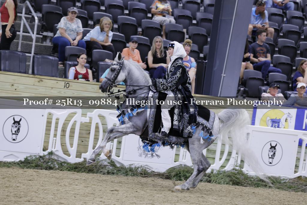 Proof 25R13_09884