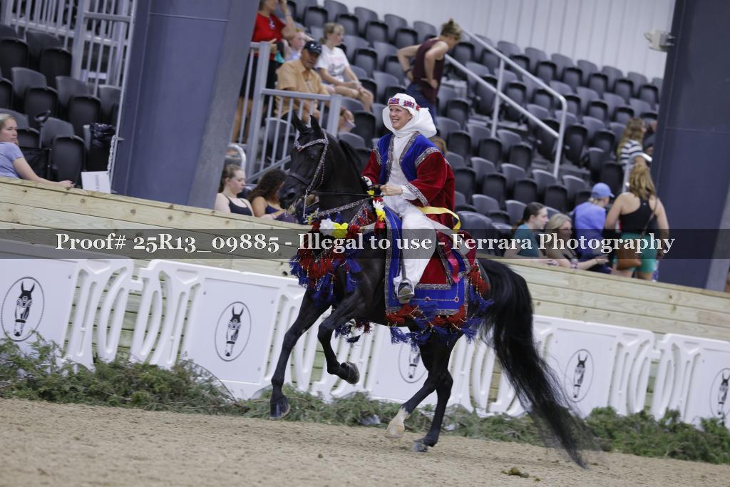 Proof 25R13_09885