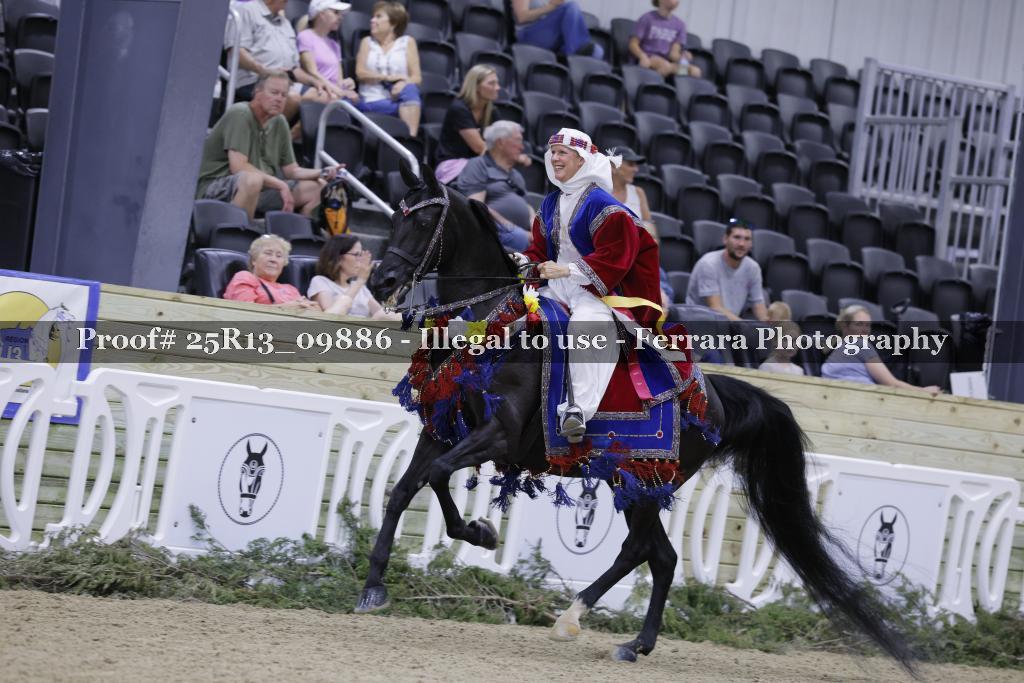 Proof 25R13_09886