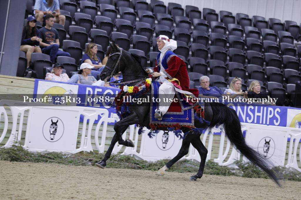 Proof 25R13_09887