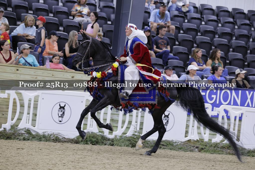 Proof 25R13_09888