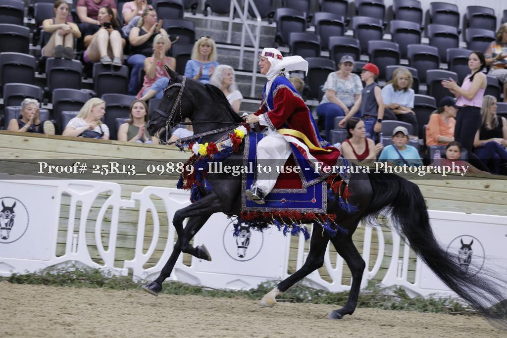 Proof 25R13_09889