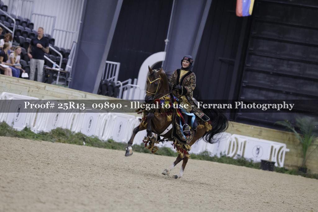 Proof 25R13_09890