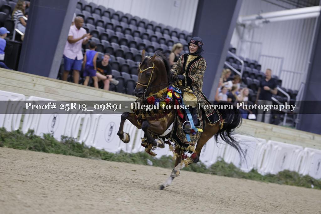 Proof 25R13_09891