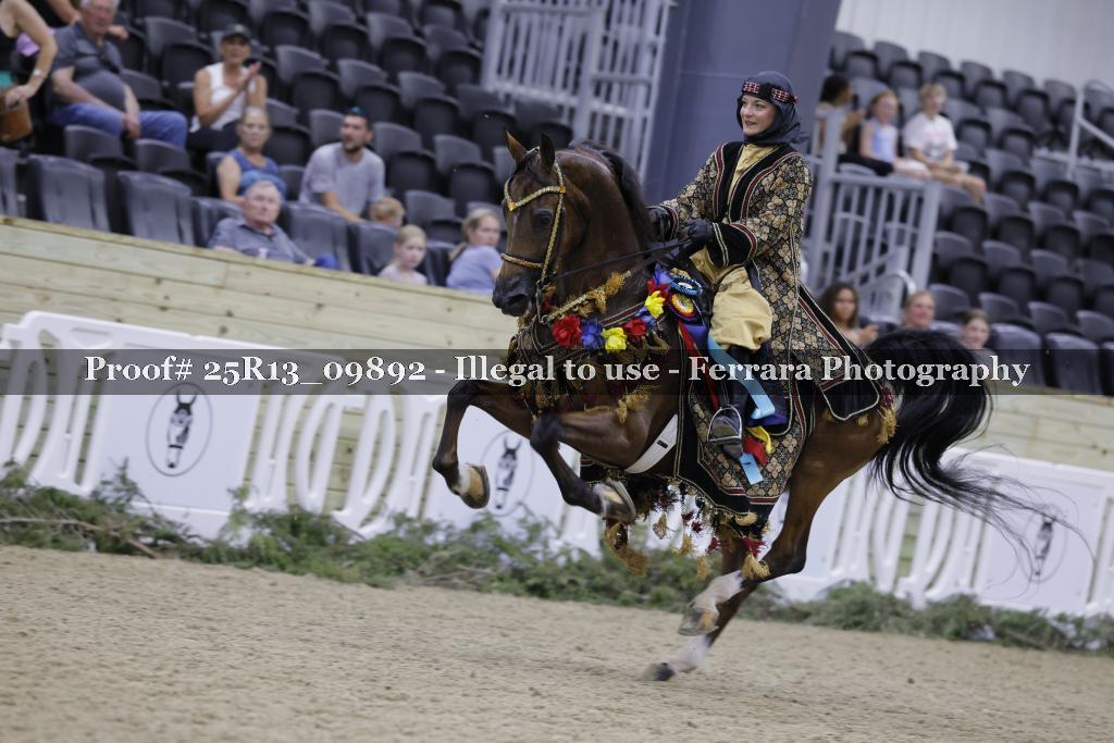 Proof 25R13_09892