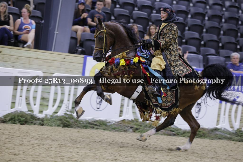 Proof 25R13_09893