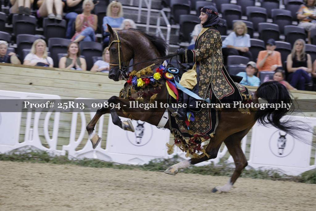 Proof 25R13_09894