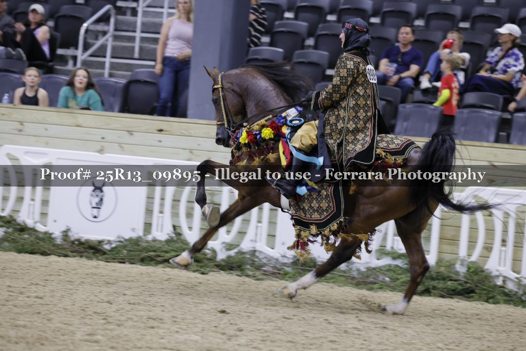 Proof 25R13_09895