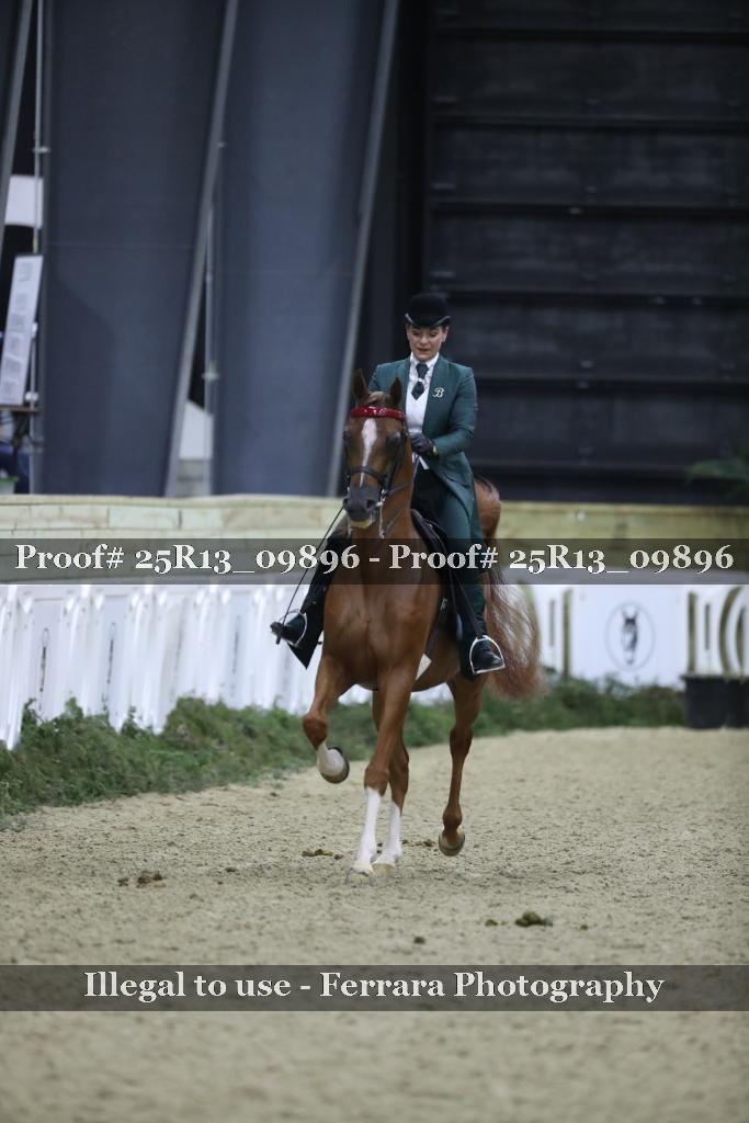 Proof 25R13_09896