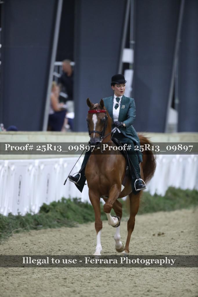 Proof 25R13_09897