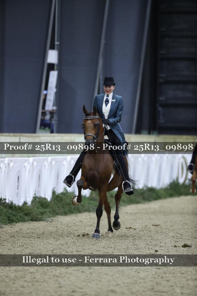Proof 25R13_09898