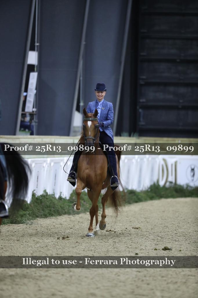 Proof 25R13_09899