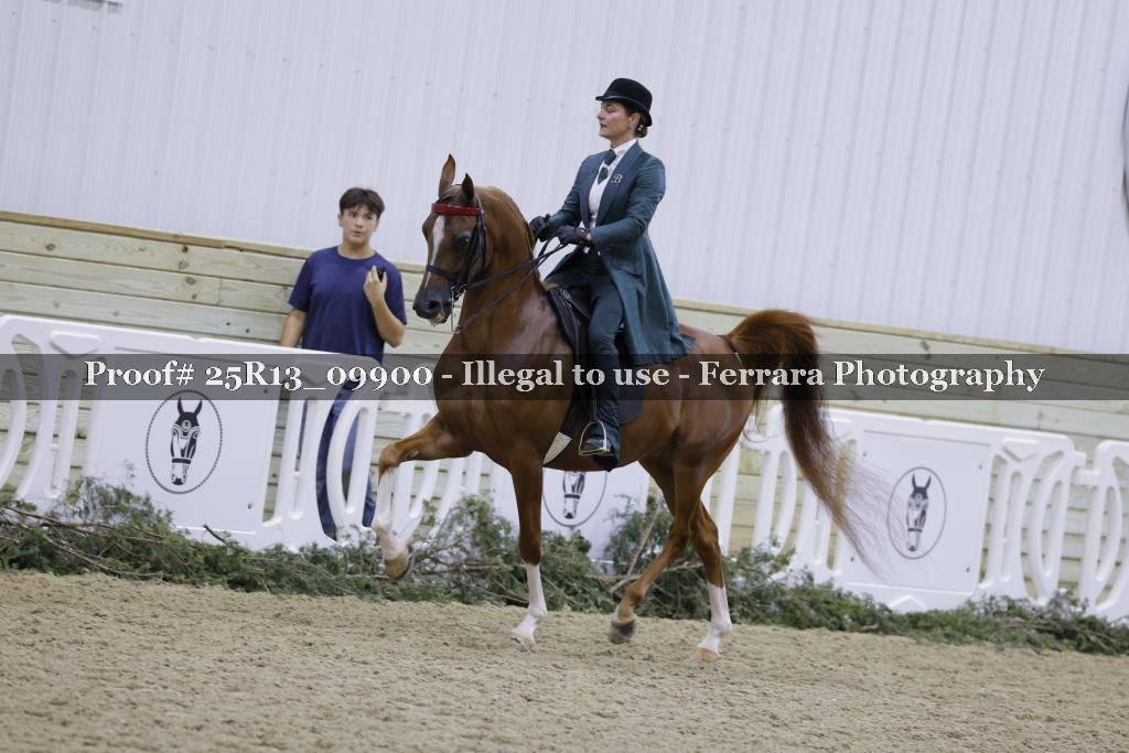 Proof 25R13_09900