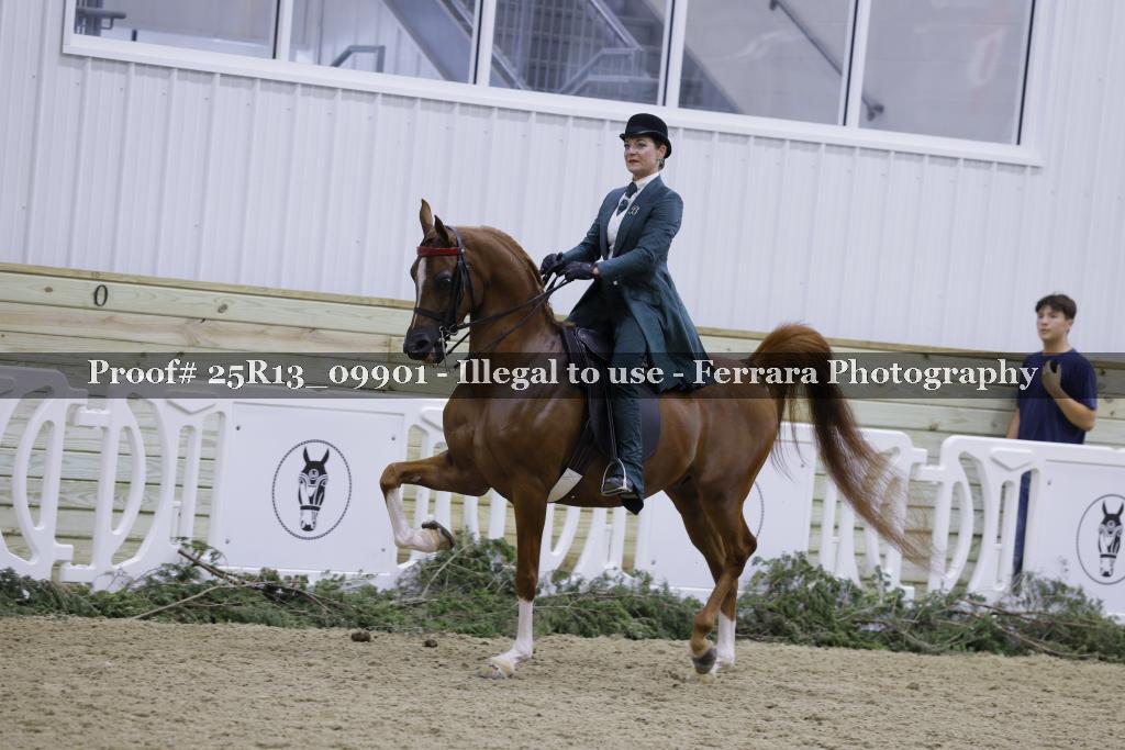 Proof 25R13_09901