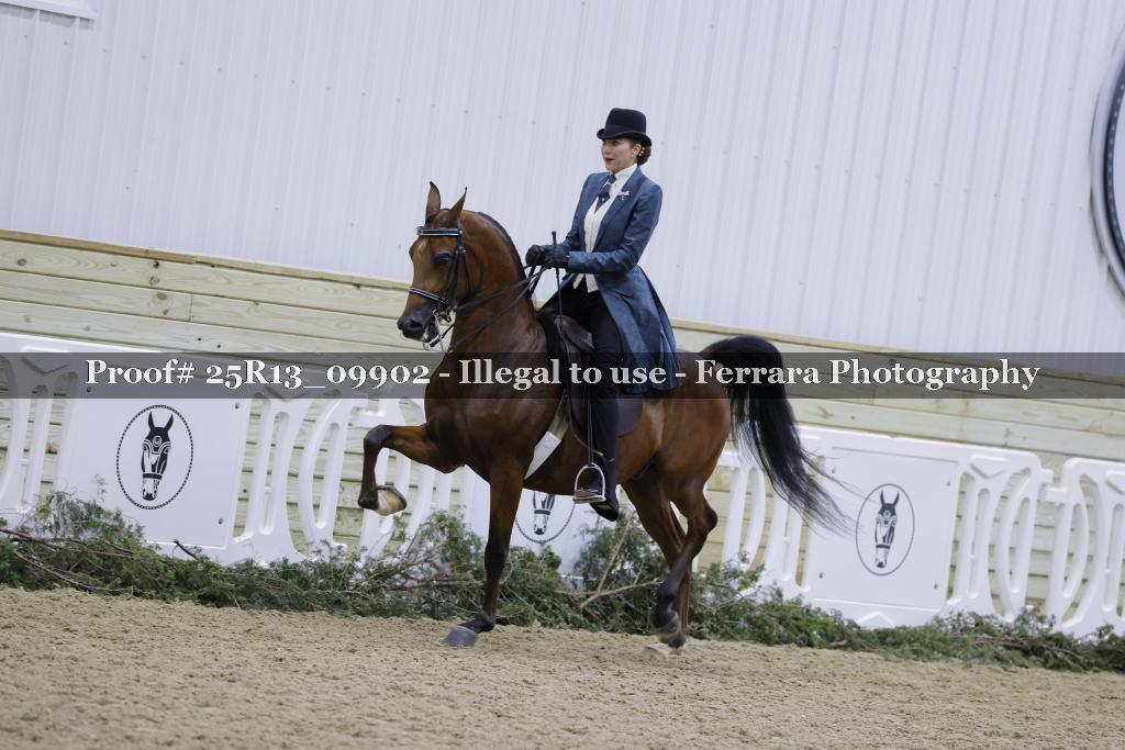 Proof 25R13_09902