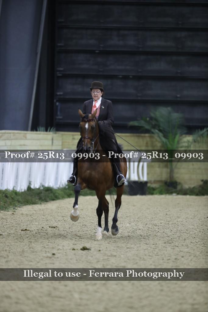 Proof 25R13_09903