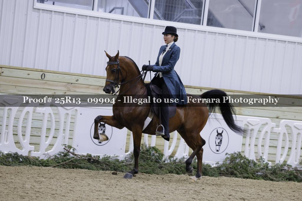 Proof 25R13_09904