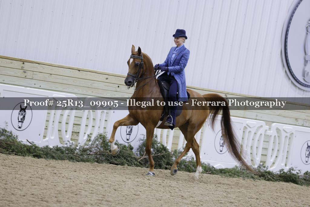 Proof 25R13_09905