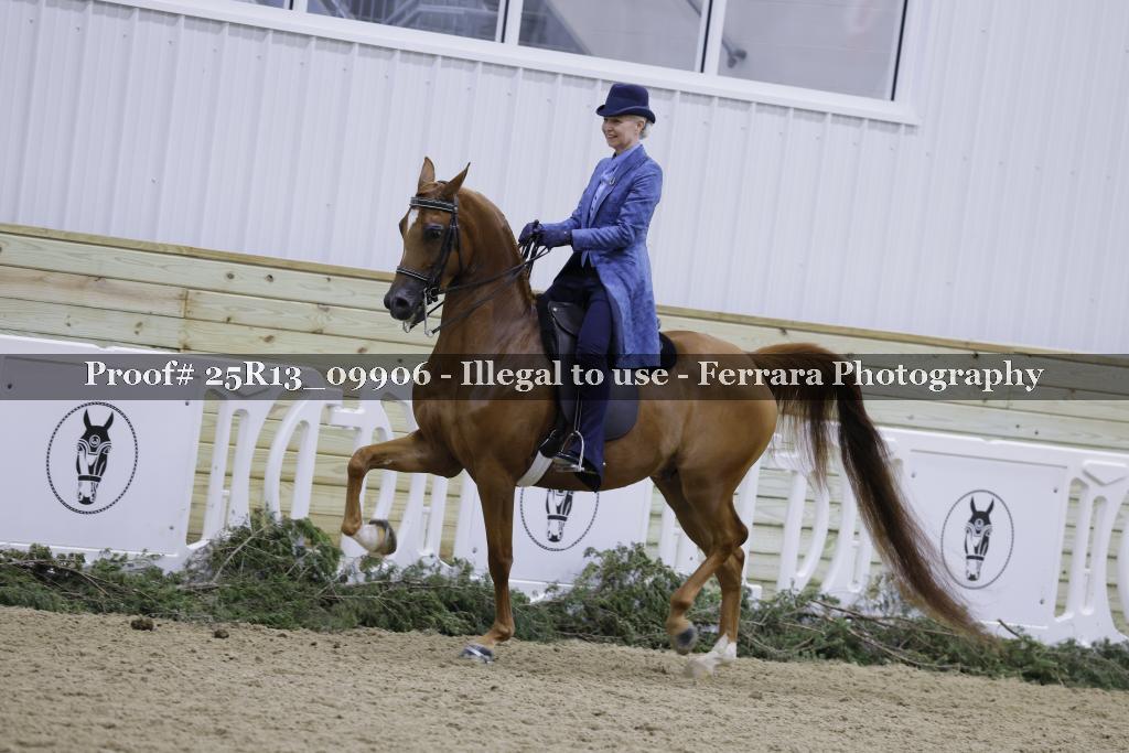 Proof 25R13_09906