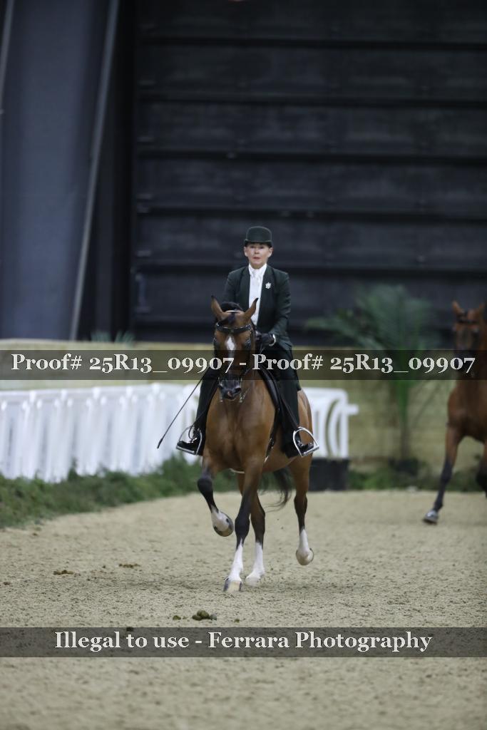 Proof 25R13_09907