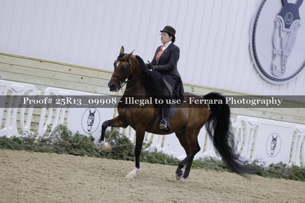 Proof 25R13_09908