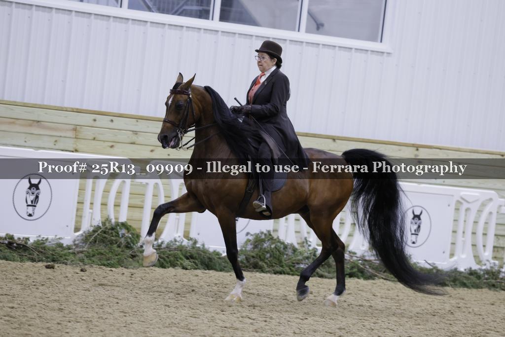 Proof 25R13_09909