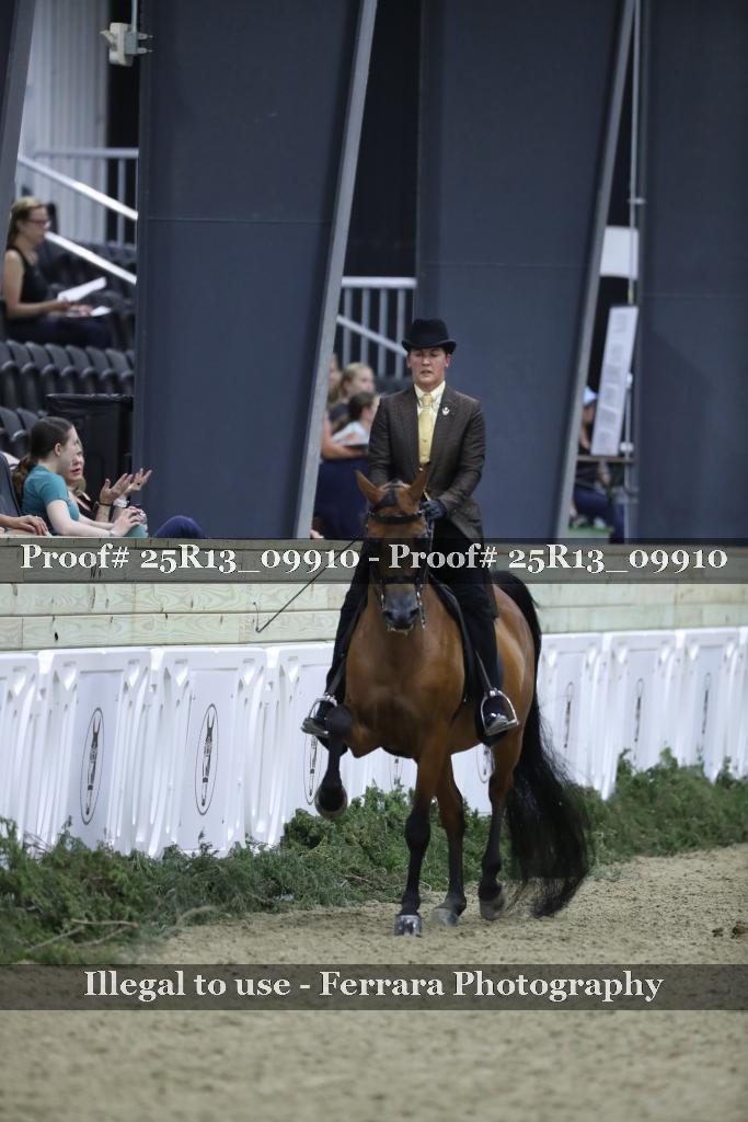Proof 25R13_09910